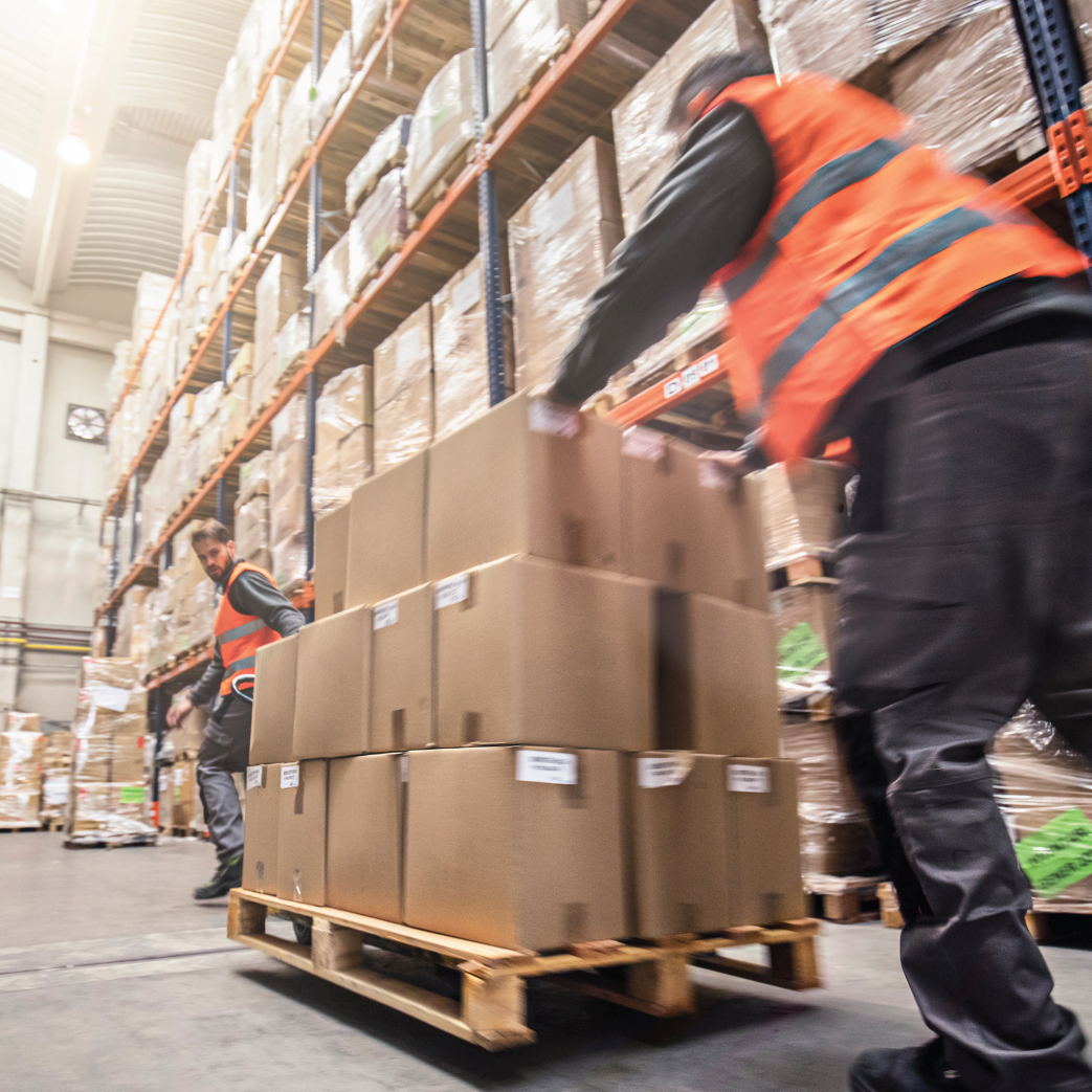 The Definitive Guide to Warehouse Management | Tecsys